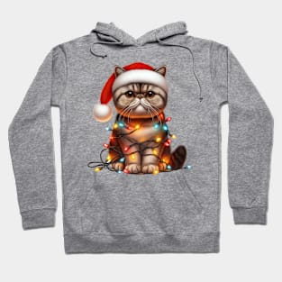 Christmas Exotic Shorthair Cat Hoodie